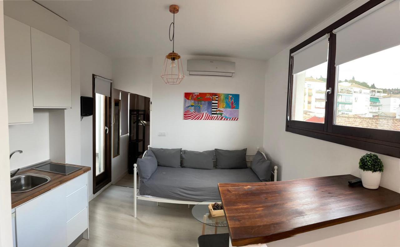 Atico. Centro. Penthouse Διαμέρισμα Γρανάδα Εξωτερικό φωτογραφία
